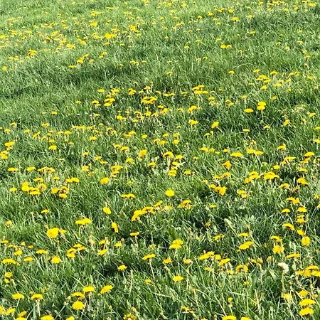 Tourismes Bed & Breakfast Pepinster