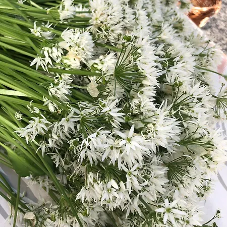 Tourismes * Pepinster